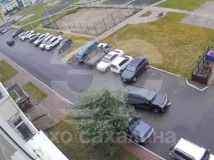 Жительница Охи на внедорожнике дважды переехала кошку