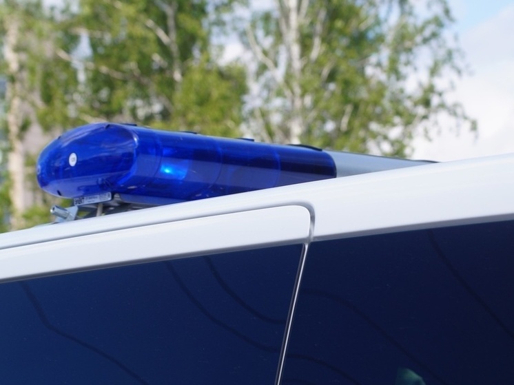 В Омске задержали нелегала с 85 свёртками героина