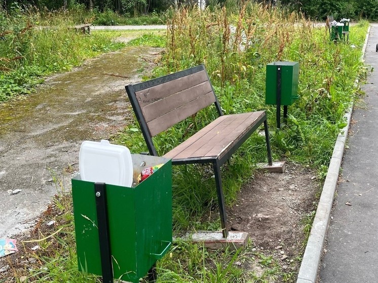 Переполненные урны и некошеная трава портят отдых жителям Сегежи