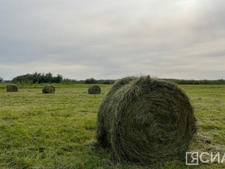 В Якутии заготовлено более 165 тысяч тонн сена