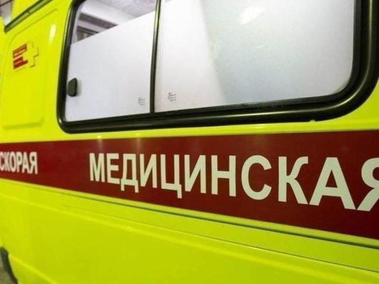 Житель Омской области всадил вилы в грудь своему знакомому