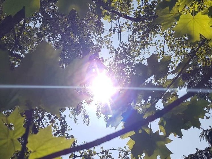 Специалисты дали огненный прогноз в регионе до 8 августа