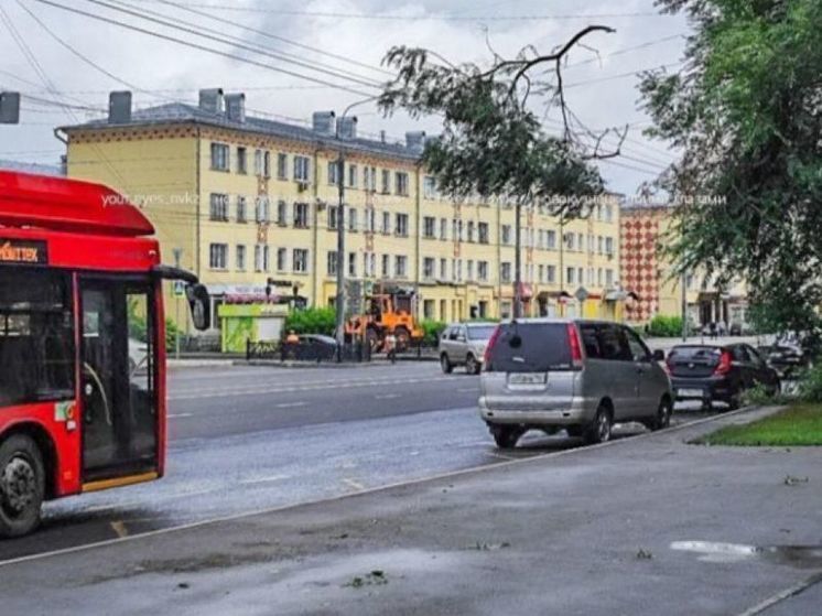 В Новокузнецке большая ветка дерева упала на контактную сеть троллейбуса