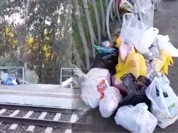«Везде помойка!»: новосибирцы пожаловались на горы мусора у моря Обского