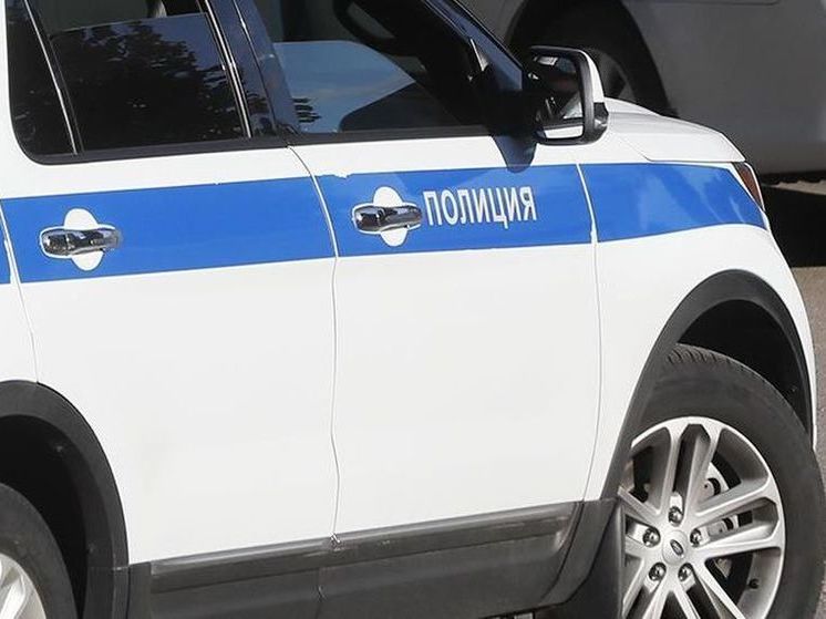 Агрессивную собаку застрелили полицейские в Братске