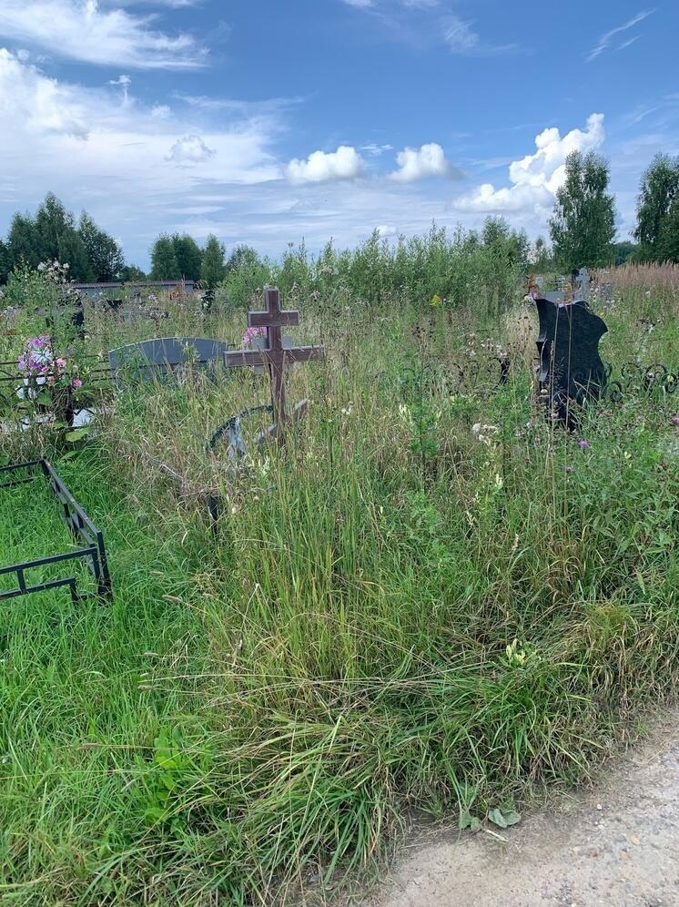 В ярославском районе заросло кладбище в Селифонтово