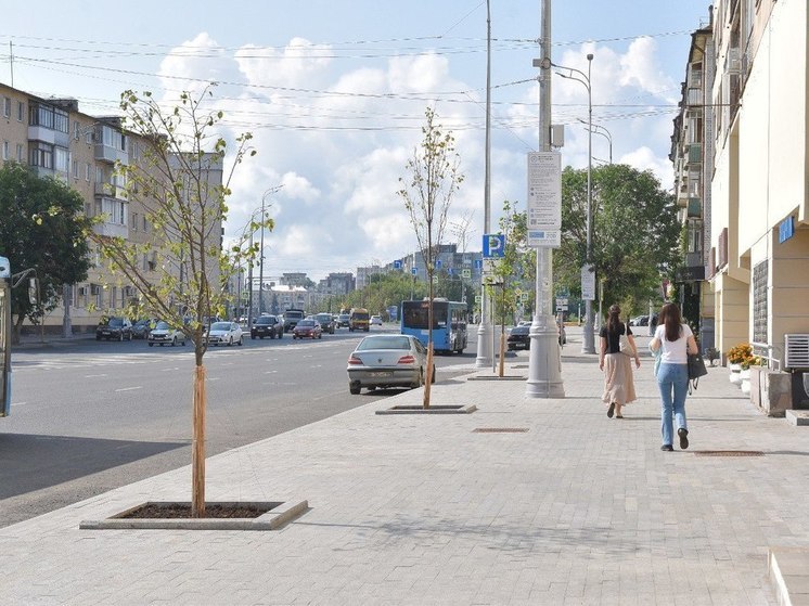 В центре Твери высадили деревья
