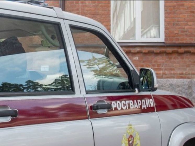 В Выборге задержали четверых хулиганов, избивших прохожего