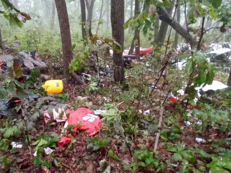 Опубликовано видео с места крушения самолёта омских путешественников в Приморье