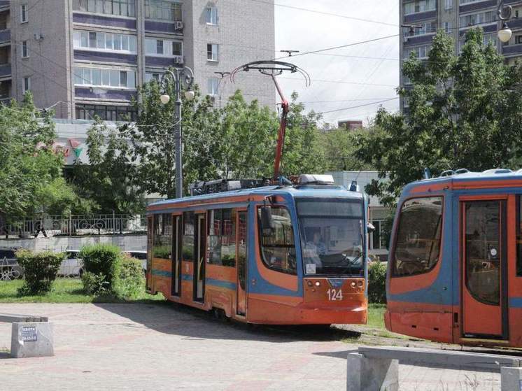 В Хабаровске продолжается акция «Бесплатная пересадка»