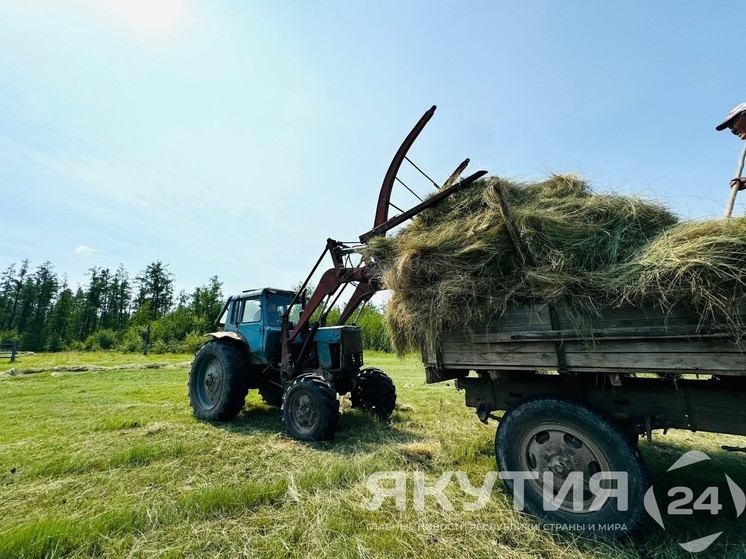В сенокосной компании участвуют более 24 человек