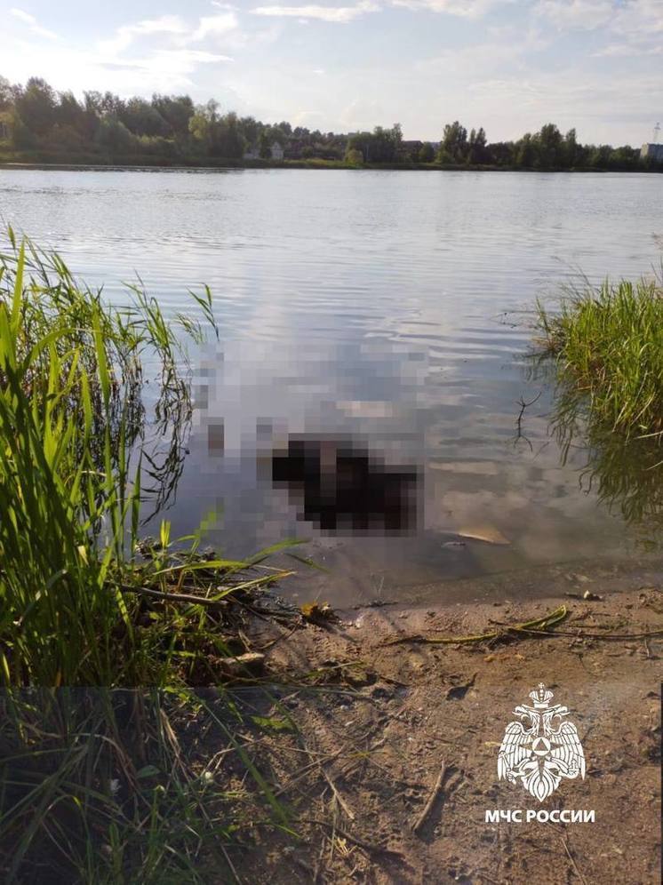 В Тверской области отдыхающие достали из реки мертвого мужчину