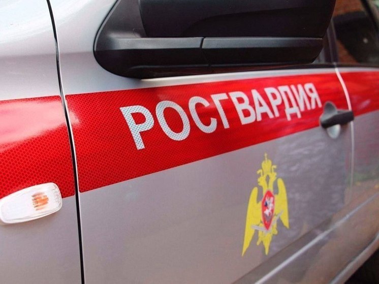 Пропавшего ребенка помогли вернуть родителям росгвардейцы