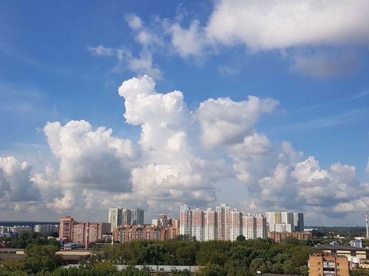 Жителям Подмосковья сегодня вновь могут пригодиться зонты