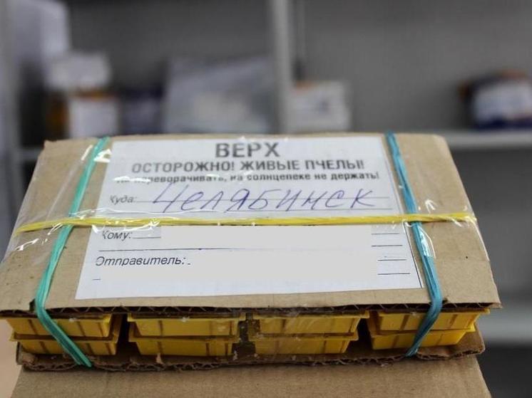 Южноуральцы стали чаще получать по почте пчел и садовые качели