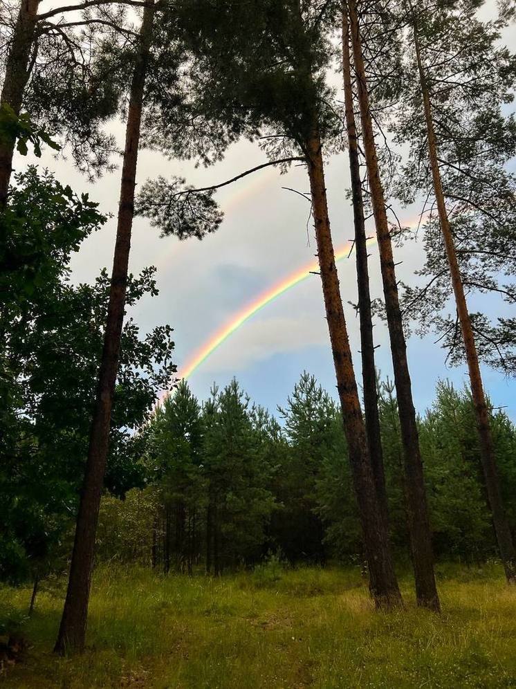 Под Тверью сфотографировали двойную радугу