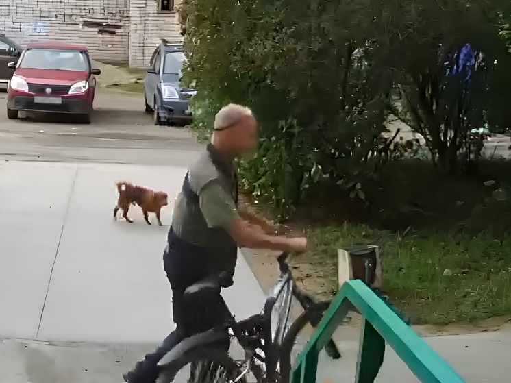 Оставлять без присмотра велосипеды не рекомендуется