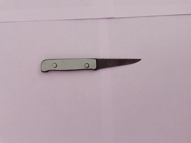 Жительницу Верхнерогачикского округа подозревают в убийстве