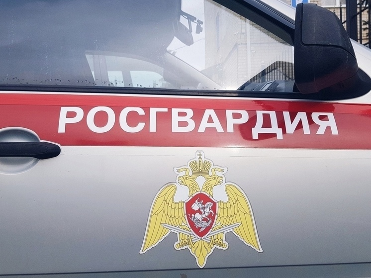 Росгвардейцы задержали вора одежды