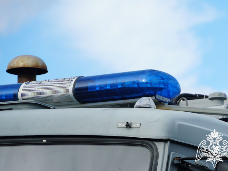 Мужчина разбил четыре бутылки водки в магазине Карелии