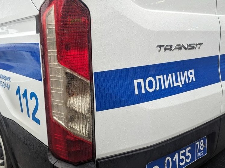 Полиция задержала мигранта за изнасилование 15-летней девочки в Ломоносове