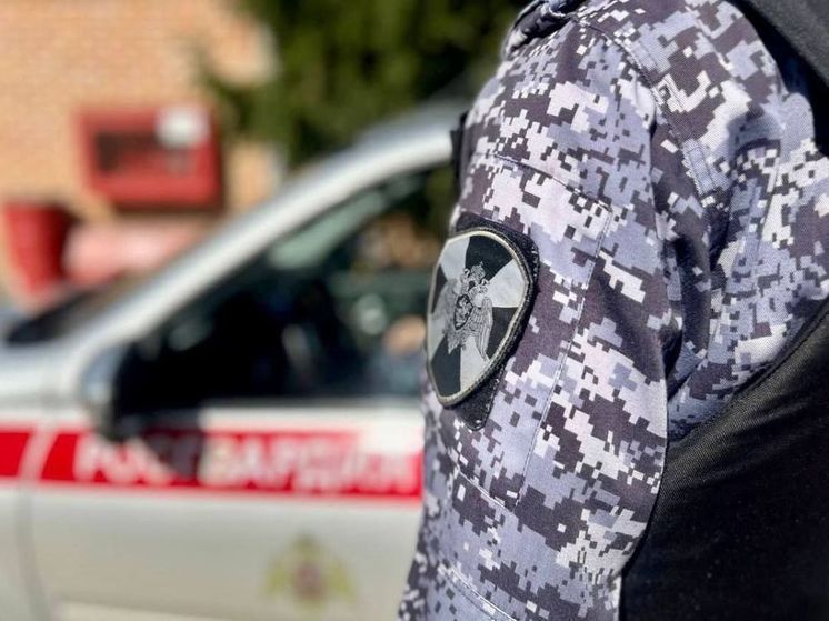 Угонщика автомобиля задержали сотрудники Росгвардии в Щелково