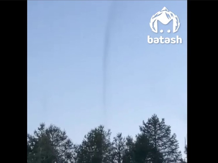 В Башкирии заметили целые «смерчи» из десятков тысяч комаров