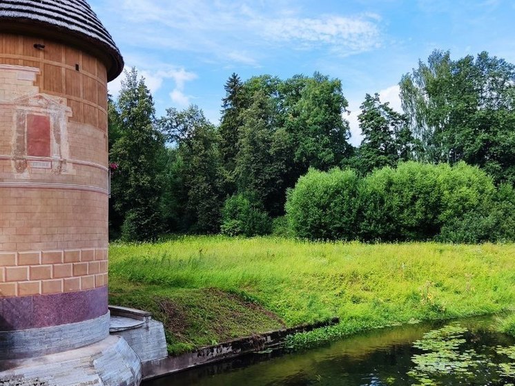 В Павловском парке заметили краснокнижную европейскую косулю