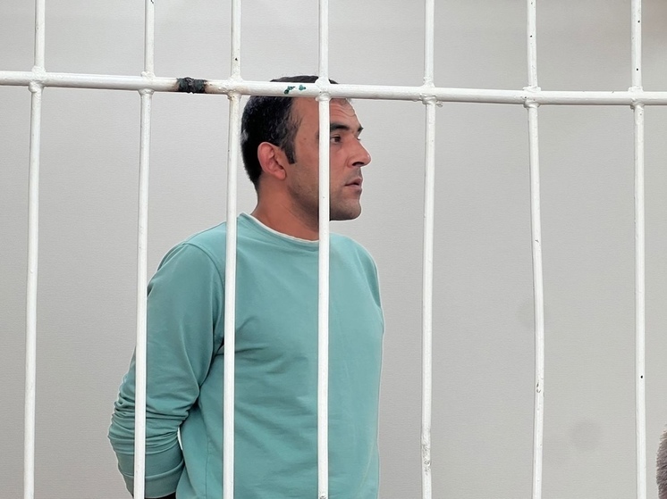 Суд отправил в СИЗО мажора-мигранта из Тогучина