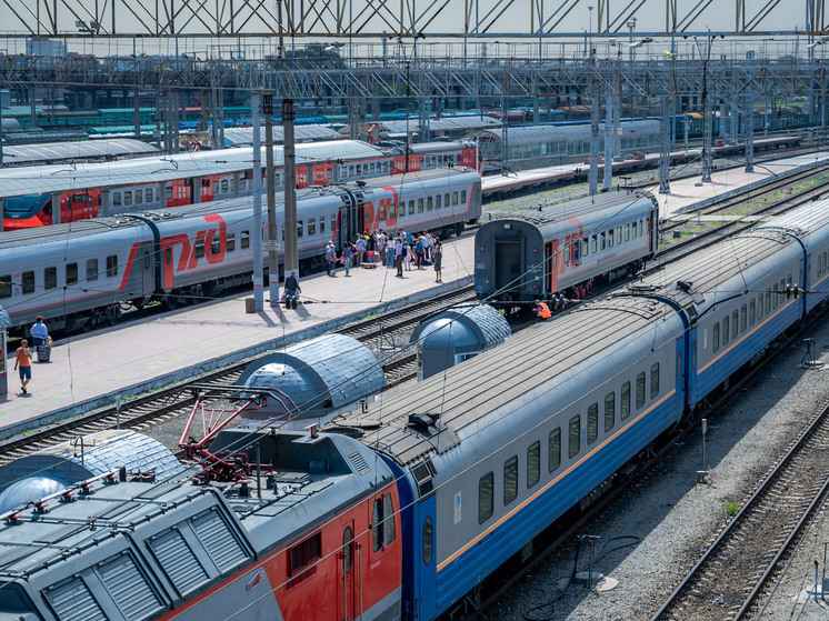 В Челябинске из музея железнодорожной техники украли видеокамеру и медный кабель