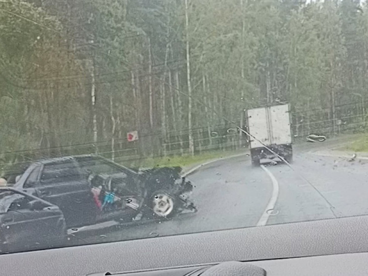 На трассе в Клепиковском районе произошло серьёзное ДТП