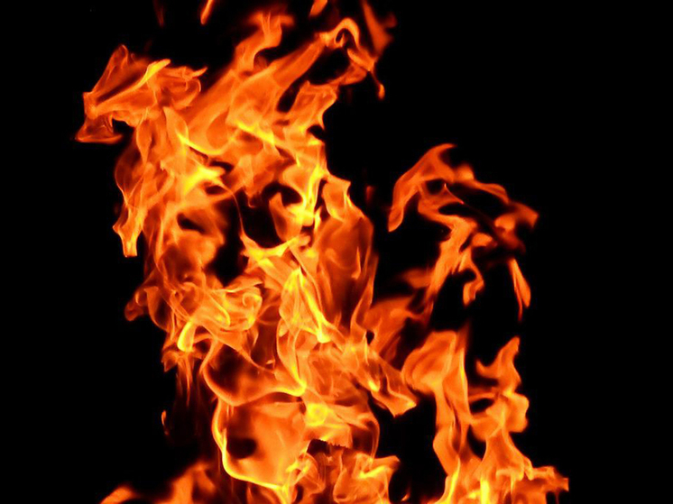 Shot: in Moscow region, a man is suspected of beating a woman and trying to burn her alive