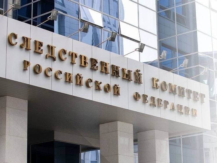 Бастрыкин проконтролирует предоставление жилья сироте из Калужской области