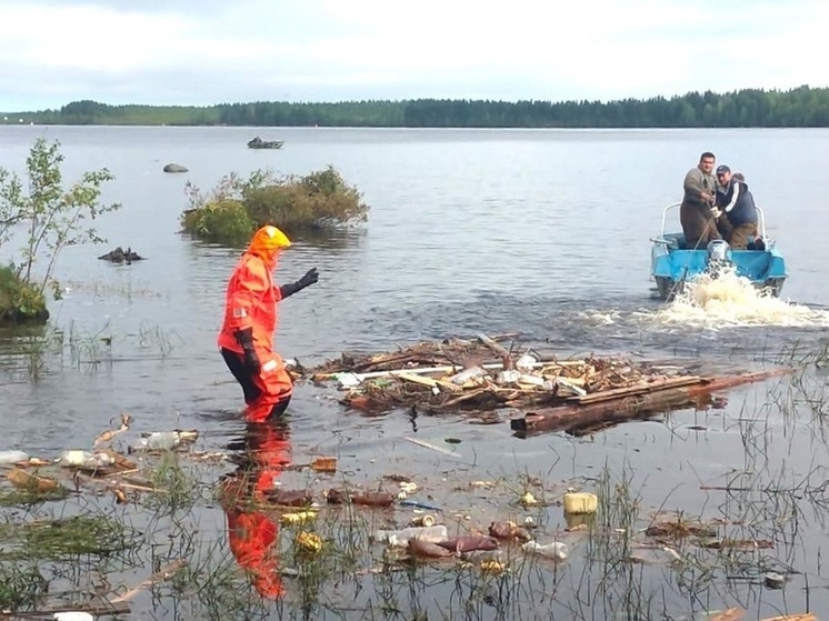 Власти Карелии рассказали, когда планируют завершить расчистку посёлка Шавань