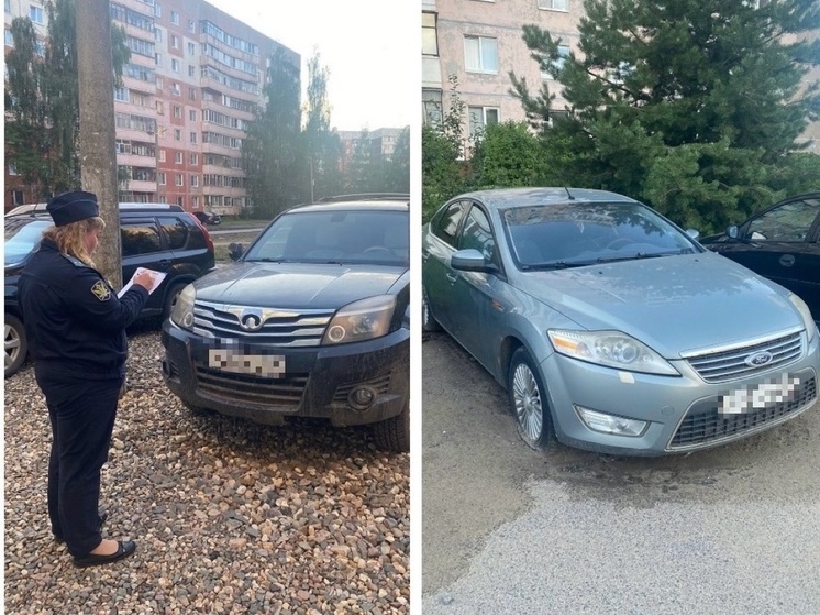 В Ярославле семейная пара лишилась сразу двух иномарок