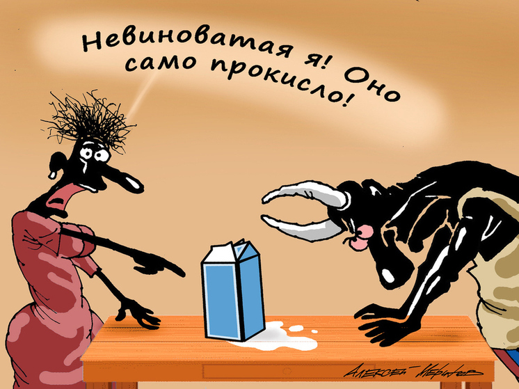 10 анекдотов про домохозяек