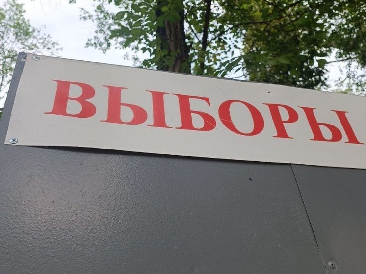 Регистрация кандидата в депутаты закдумы будет отменена через суд