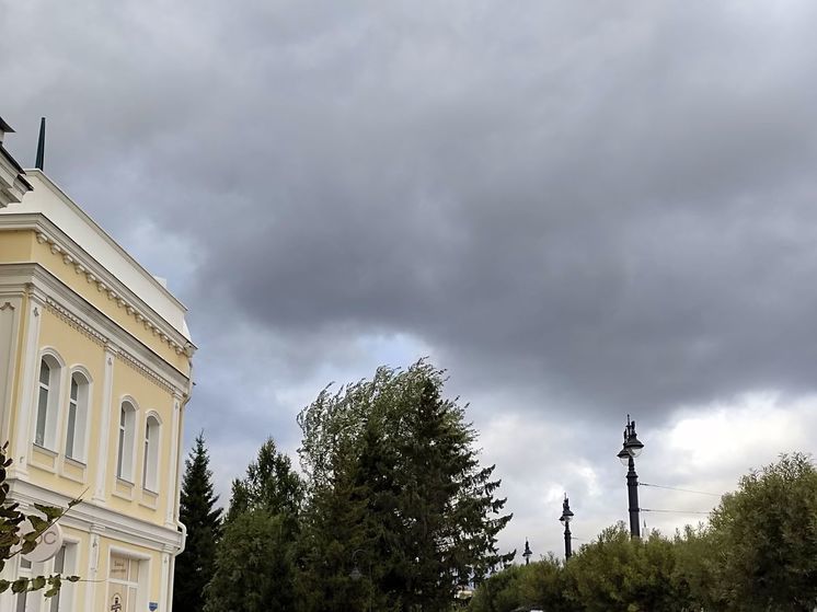 На выходных в Омской области ночью похолодает до +7 градусов