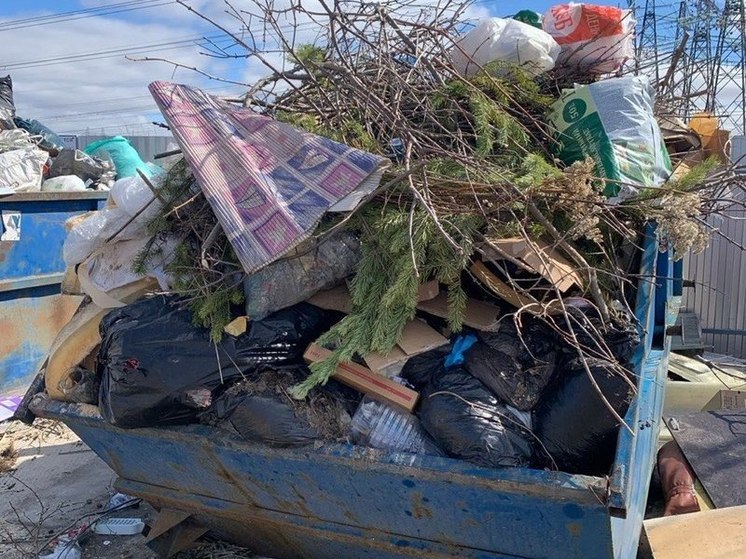 Десять новых мусоровозов закупят в Сургуте, чтоб решить «мусорный» вопрос