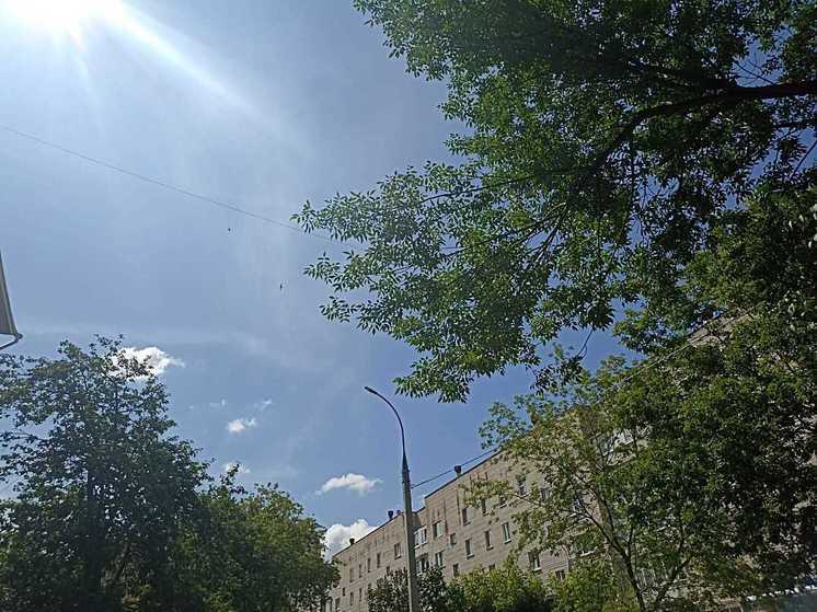  Петербуржцам пообещали теплую и сухую погоду