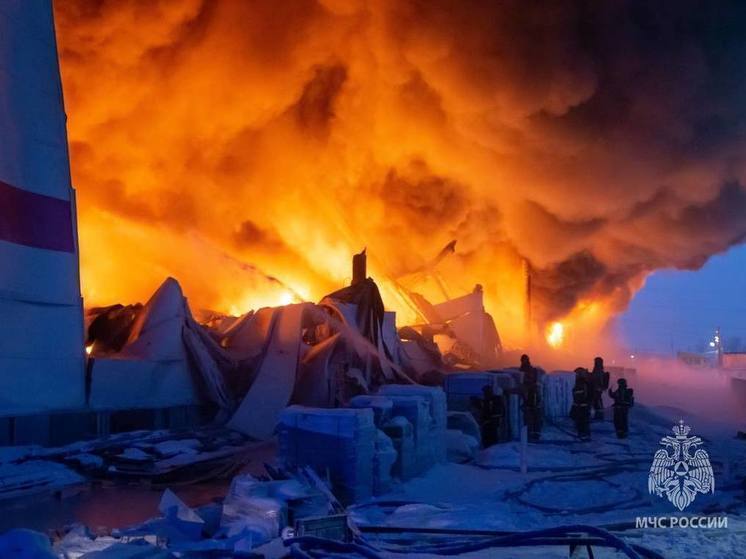 Бакальчук: после пожара в Шушарах Wildberries выплатил почти 35 млрд рублей