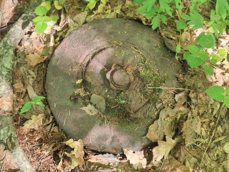 В Велиже и в Кардымове нашли боеприпасы времен войны