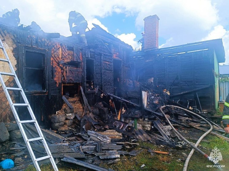 При пожаре в Брянске пострадали 9-летняя девочка и 59-летняя женщина