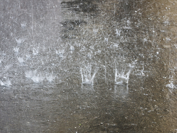 Ливни с грозами в ближайшие часы накроют Подмосковье