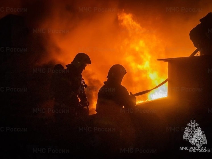 За 7 месяцев этого года на Смоленщине в огне погибли 44 человека