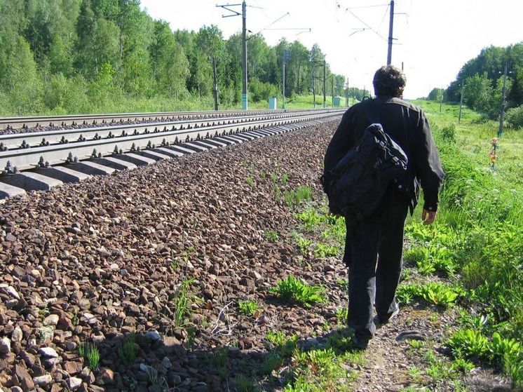 На Ленинградском направлении изменится расписание электричек