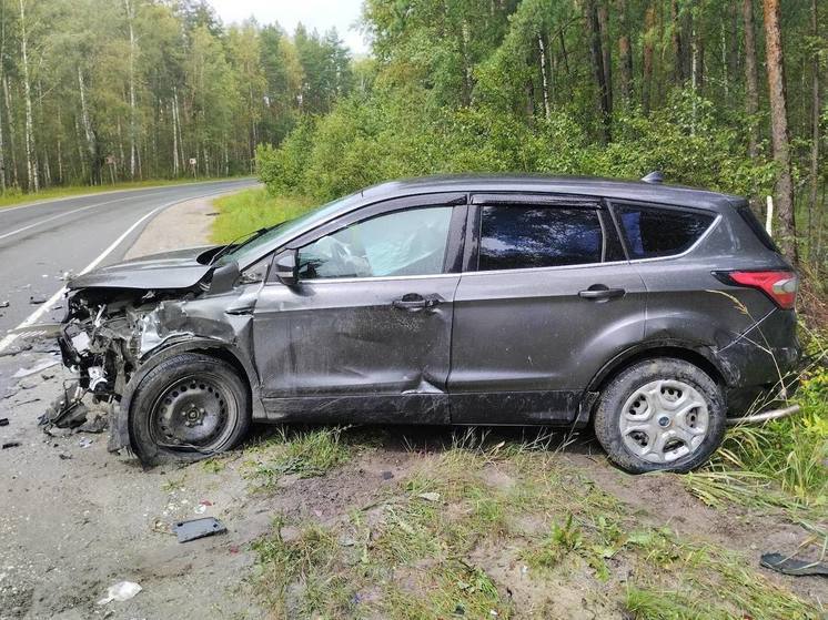 За сутки в Рязанской области зарегистрировали 341 нарушение ПДД