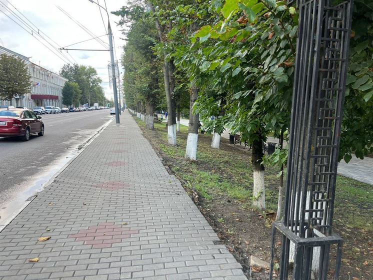 Горпарк Орла временно остался без забора