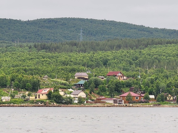 Хозяйство в Заполярье наказали за сжигание трупов животных вместе с мусором