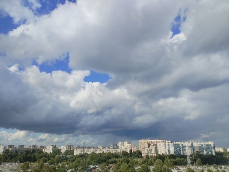 Пятый класс пожарной опасности ожидается в Заполярье на выходных